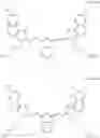 Fig. 09 - Lithographic printing plate precursor