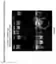 Fig. 09 - Detection Of Analytes And Nucleic Acids