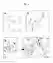 Fig. 10 - Diagnostic method for diseases by screening for hepcidin in human or animal tissues, blood or body fluids and therapeutic uses therefor