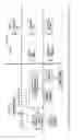 Fig. 03 - Characterization of -linked glycans