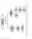 Fig. 07 - Characterization of -linked glycans