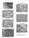 Fig. 01 - Tissue Fixative Having Increased Viscosity