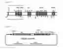 Fig. 07 - Expression vector containing the major envelope protein P9 of cystovirus PHI6 as a fusion partner, and process for producing a membrane protein using the same