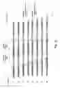 Fig. 04 - Gene synthesis by convergent assembly of oligonucleotide subsets