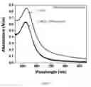 Fig. 05 - Method of characterizing glycans attached to glycoproteins