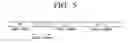 Fig. 09 - FM TRANSMITTER, BROADCAST RECEIVER, AND METHOD FOR TRANSMITTING AUDIO