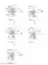 Fig. 09 - Manufacturing method and manufacturing equipment of composite body of sheet-like member of absorbent article