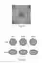 Fig. 57 - MEASUREMENT OF MATERIAL PROPERTIES AND RELATED METHODS AND COMPOSITIONS BASED ON CYTOADHERENCE