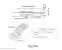 Fig. 59 - MEASUREMENT OF MATERIAL PROPERTIES AND RELATED METHODS AND COMPOSITIONS BASED ON CYTOADHERENCE