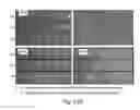 Fig. 60 - MEASUREMENT OF MATERIAL PROPERTIES AND RELATED METHODS AND COMPOSITIONS BASED ON CYTOADHERENCE