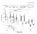 Fig. 66 - MEASUREMENT OF MATERIAL PROPERTIES AND RELATED METHODS AND COMPOSITIONS BASED ON CYTOADHERENCE