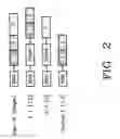 Fig. 03 - Protein fragment complementation assays for the detection of biological or drug interactions