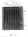 Fig. 07 - Protein fragment complementation assays for the detection of biological or drug interactions