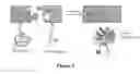Fig. 02 - System useful for reporting protein-protein interactions in the bacterial periplasm
