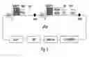 Fig. 04 - Multi-chain eukaryotic display vectors and uses thereof