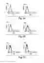 Fig. 07 - Multi-chain eukaryotic display vectors and uses thereof