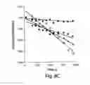 Fig. 12 - Multi-chain eukaryotic display vectors and uses thereof