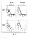 Fig. 16 - Multi-chain eukaryotic display vectors and uses thereof