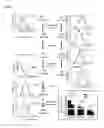 Fig. 02 - Methods and Compositions for Correlating Genetic Markers with Conversion of Medium Chain Polyunsaturated Fatty Acids to Long Chain Polyunsaturated Fatty Acids