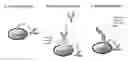 Fig. 01 - Methods for identifying and isolating cells expressing a polypeptide