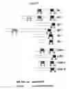 Fig. 16 - NOVEL BAG PROTEINS AND NUCLEIC ACID MOLECULES ENCODING THEM