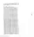 Fig. 28 - NOVEL BAG PROTEINS AND NUCLEIC ACID MOLECULES ENCODING THEM