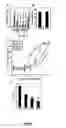 Fig. 08 - MITOQUINONE DERIVATIVES USED AS MITOCHONDRIALLY TARGETED ANTIOXIDANTS
