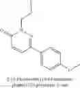 Fig. 262 - Methods of treating disorders mediated by histamine Hreceptors using pyridazinone derivatives