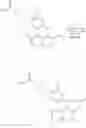 Fig. 293 - Soluble mTOR complexes and modulators thereof