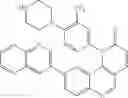 Fig. 385 - Soluble mTOR complexes and modulators thereof