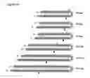 Fig. 06 - Compositions and methods for the specific inhibition of gene expression by DSRNA containing a tetraloop