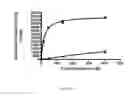Fig. 02 - PSMA BINDING LIGAND-LINKER CONJUGATES AND METHODS FOR USING