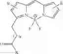 Fig. 63 - PSMA BINDING LIGAND-LINKER CONJUGATES AND METHODS FOR USING