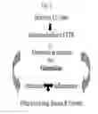 Fig. 04 - METHODS FOR TREATMENT OF THIOL-CONTAINING COMPOUND DEFICIENT CONDITIONS