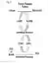 Fig. 05 - METHODS FOR TREATMENT OF THIOL-CONTAINING COMPOUND DEFICIENT CONDITIONS