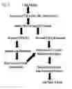 Fig. 13 - METHODS FOR TREATMENT OF THIOL-CONTAINING COMPOUND DEFICIENT CONDITIONS