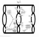 Fig. 14 - METHODS FOR TREATMENT OF THIOL-CONTAINING COMPOUND DEFICIENT CONDITIONS
