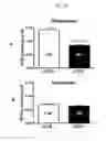 Fig. 26 - METHODS FOR TREATMENT OF THIOL-CONTAINING COMPOUND DEFICIENT CONDITIONS