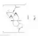 Fig. 03 - Triptolide C-ring derivatives as anticancer agents and immune modulators