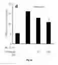 Fig. 09 - Radioprotective agents