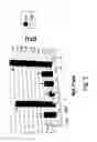 Fig. 03 - Agent derived from tortoise spleen stimulating mammalian hemopoiesis