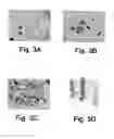 Fig. 04 - Agent derived from tortoise spleen stimulating mammalian hemopoiesis