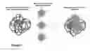 Fig. 02 - Methods and compositions for isolating polynucleotides