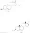 Fig. 09 - Process for the preparation of 17-0-vinyl-triflates as intermediates