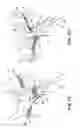 Fig. 09 - Surgical articles and methods for treating urinary incontinence