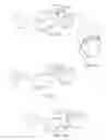 Fig. 17 - Systems and methods for reducing subconscious neuromuscular tension including bruxism