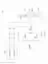 Fig. 20 - Systems and methods for reducing subconscious neuromuscular tension including bruxism