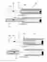 Fig. 23 - Safety needle system operable with a medical device