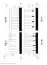 Fig. 08 - METHOD AND ASSOCIATED APPARATUS FOR COATING PROJECTIONS ON A PATCH ASSEMBLY