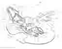 Fig. 01 - Universal catheter securement device